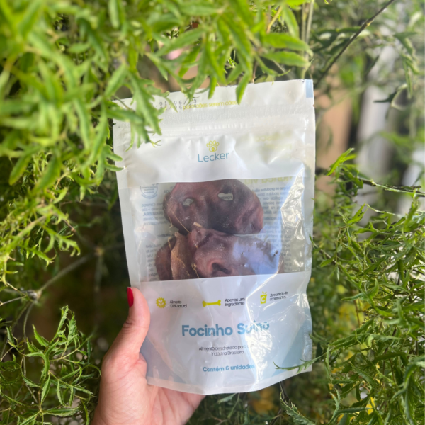 FOCINHO SUÍNO 6UNI - LECKER