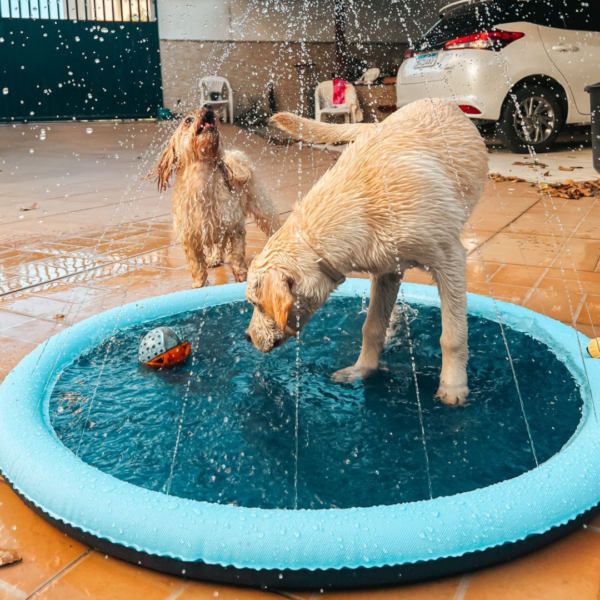 PET CHAFARIZ  100CM -  DOGGY SPLASH PAD - PAWISE