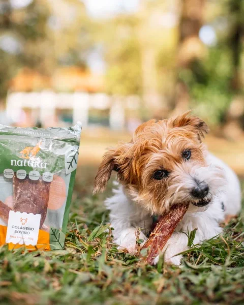 NATUKA STIX (LIGAMENTO BOVINO)  110G - NATUKA